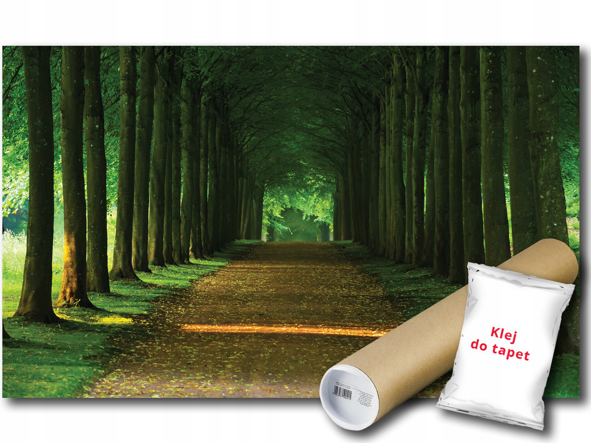 Vinylová Fototapeta Park Las Aleja Stromy Cesta Krajina Výhľad 254x184