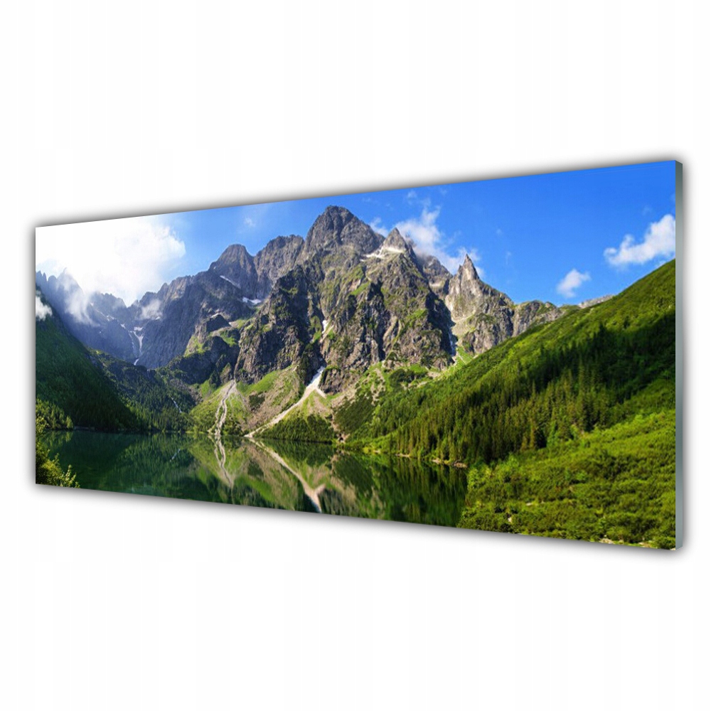 

Fotoobraz akryl 125x50 Tatry Góry Morskie Oko Las