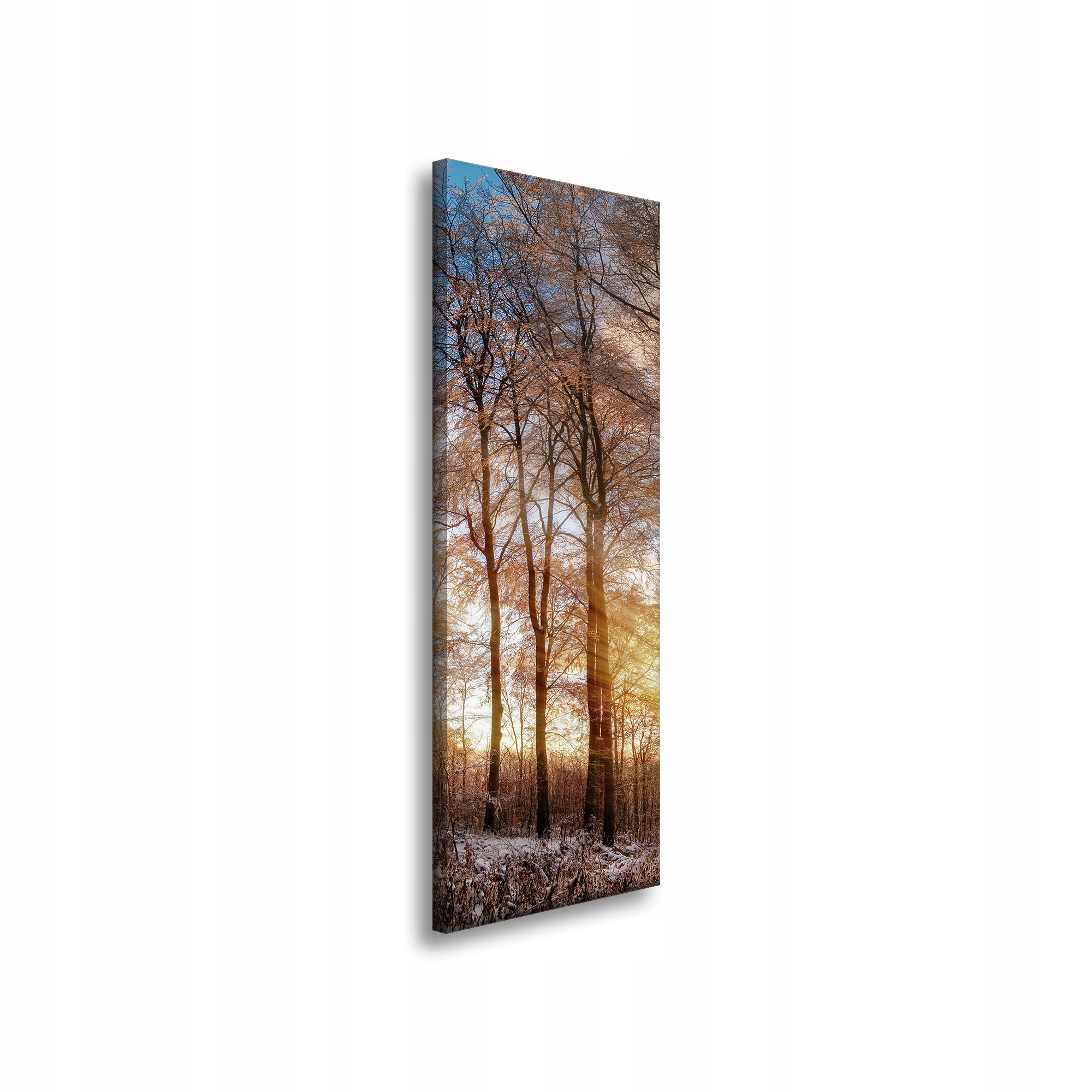 Obraz na plátně Stromy Zima Vycházející Slunce 40x120 cm