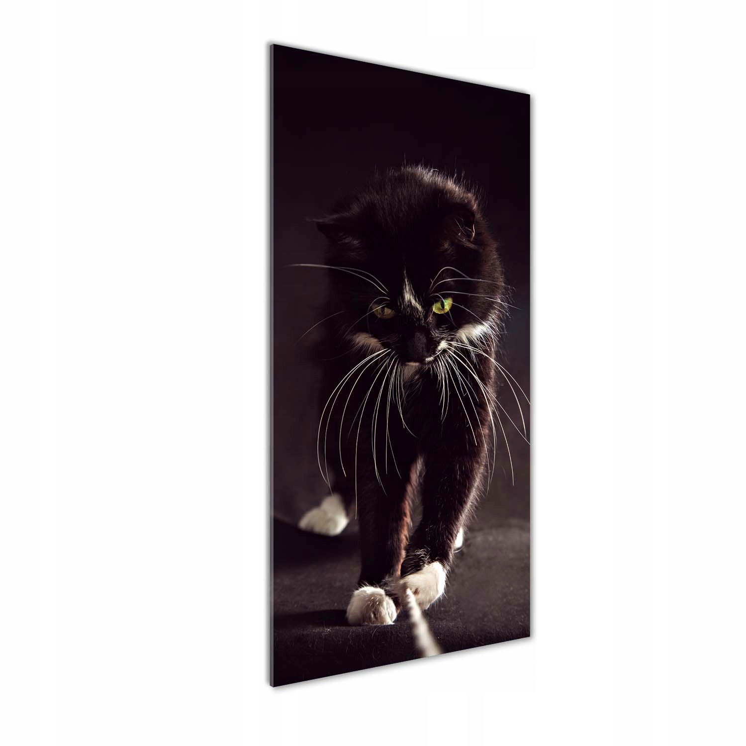 

Foto obraz szkło hartowane Czarny kot 50x125 cm