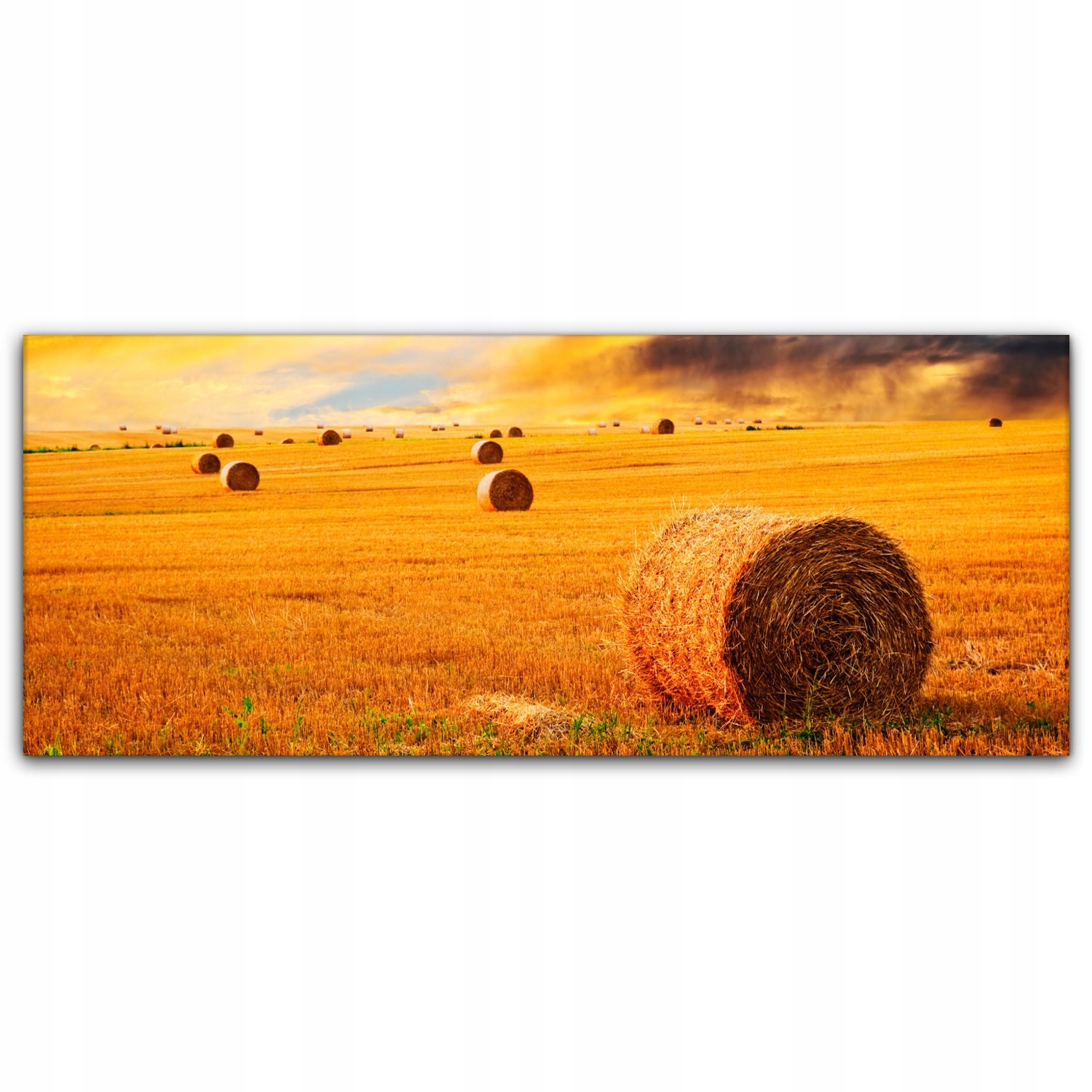 

Obraz Canvas dekoracja 125x50 Farma Zachód Słońca