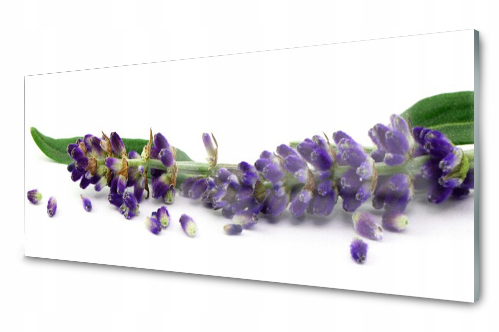 

Panel szklany do kuchni Lawenda Martwa 125x50