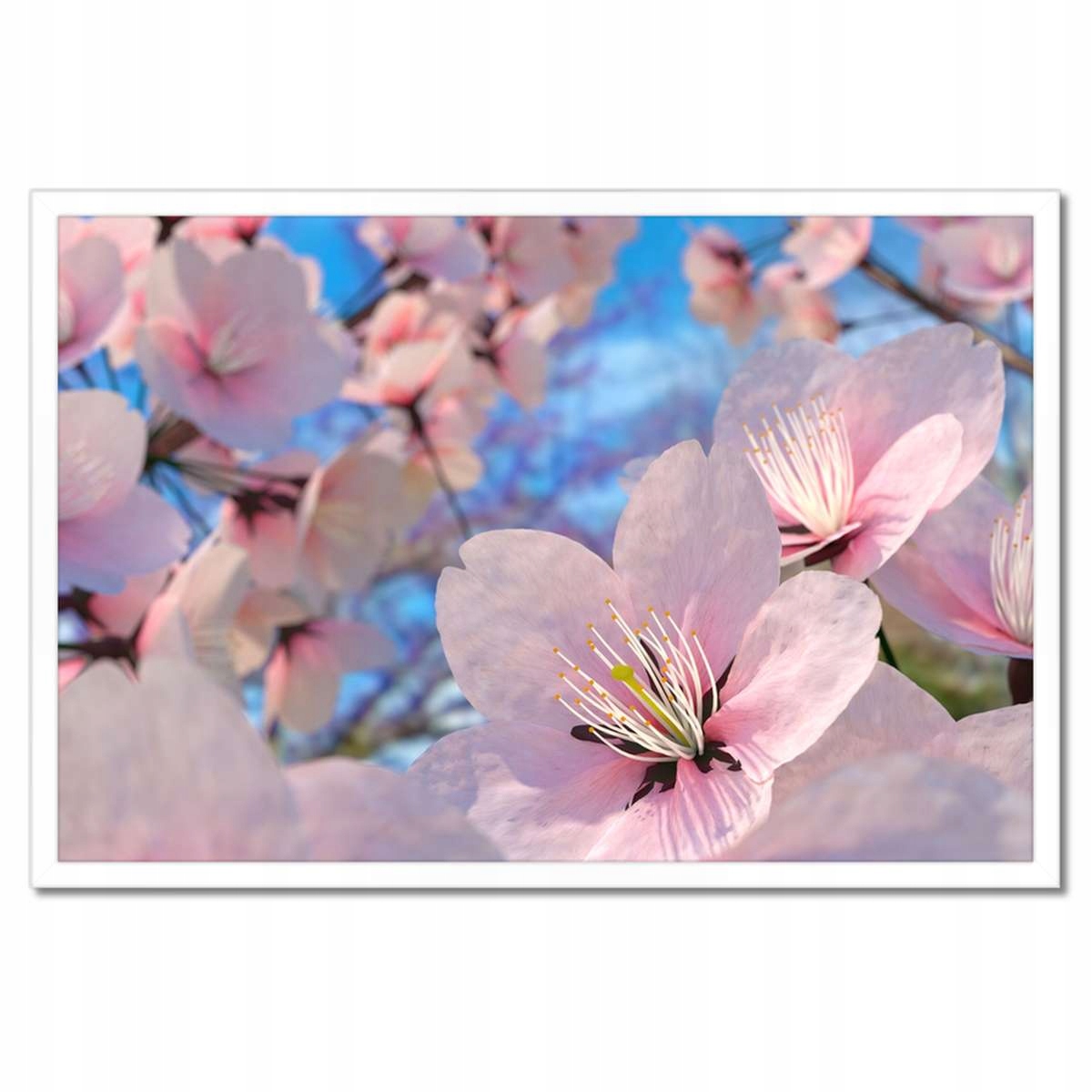 Plakáty v rámu 60x40 Krásné kvítky