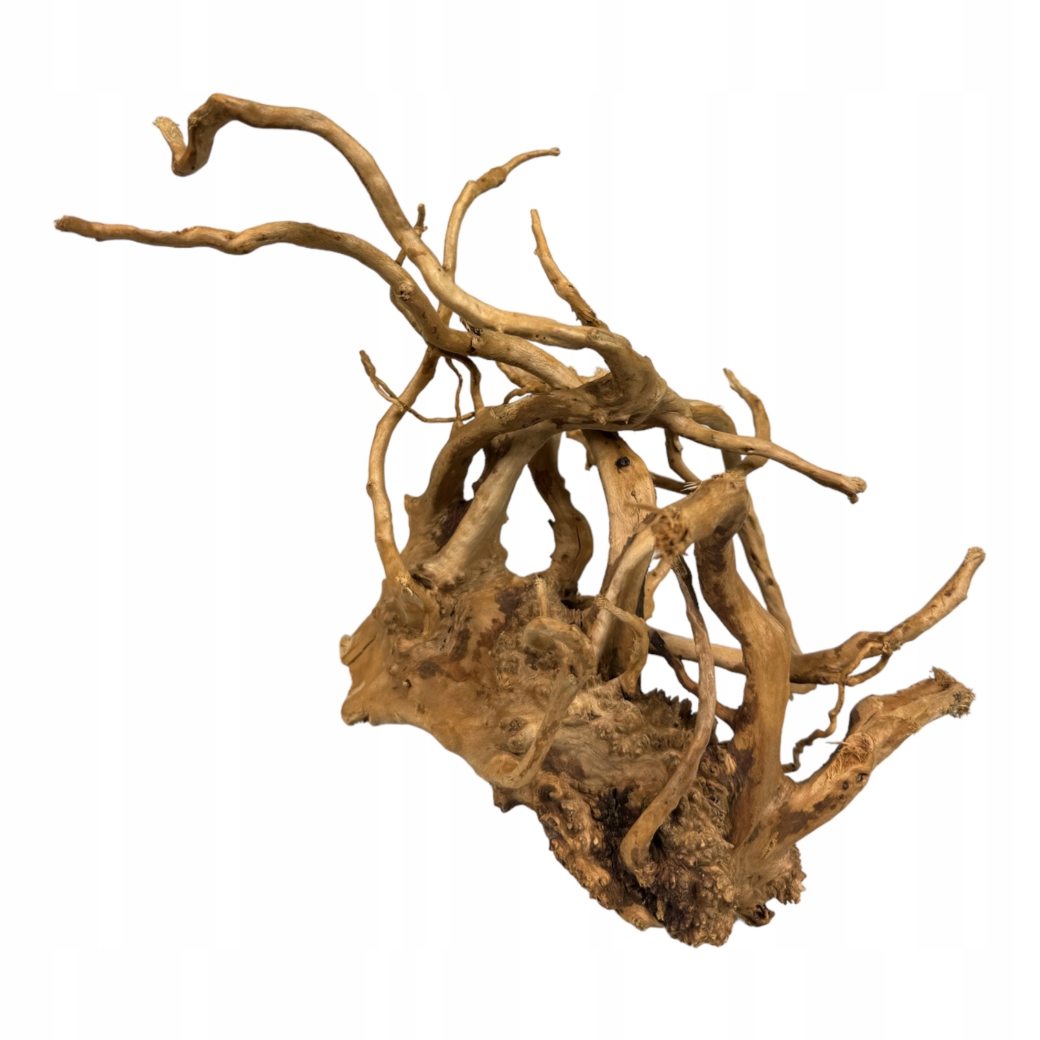 Levně BioRoot Rm Red Moor Japonský kořen pro terária a akvária L 50-60 cm