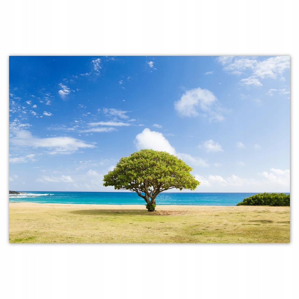 

Plakaty 60x40 Pejzaż z drzewkiem