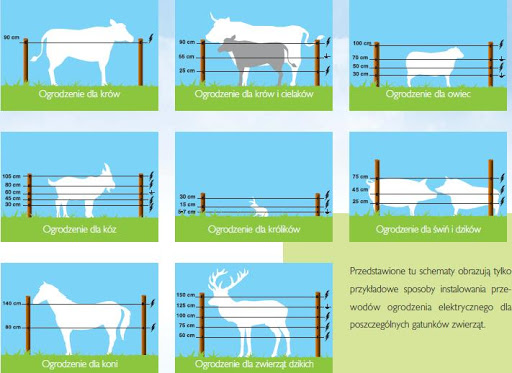 Taśma PROFESSIONAL 20mm 200m Niebieska dziki mocna Długość 200 m