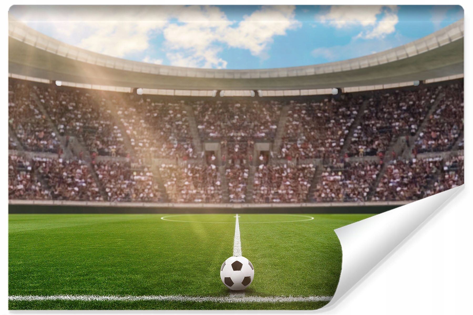 

Fototapeta Stadion Piłkarski Piłka Nożna 180x120