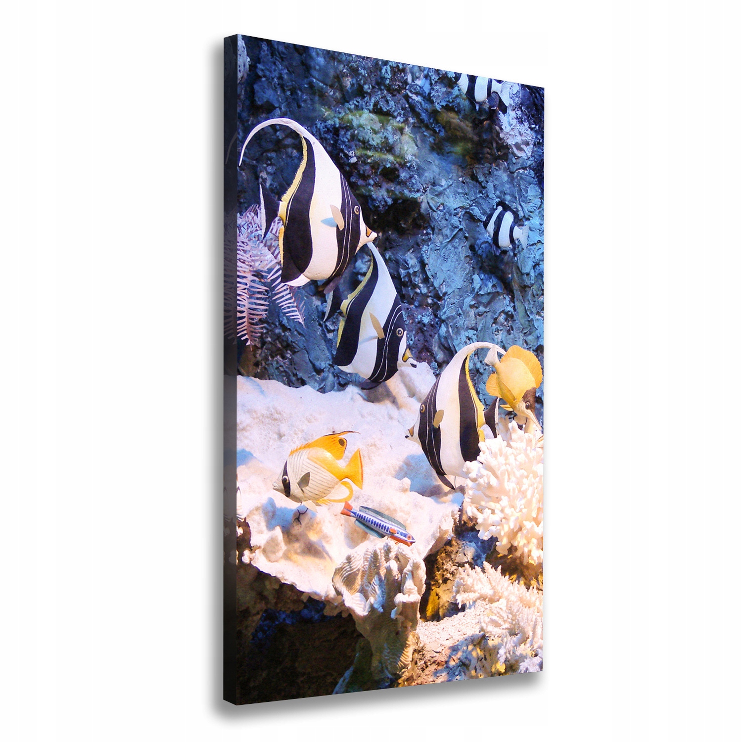 Foto obraz na plátne Koralový útes 70x140 cm