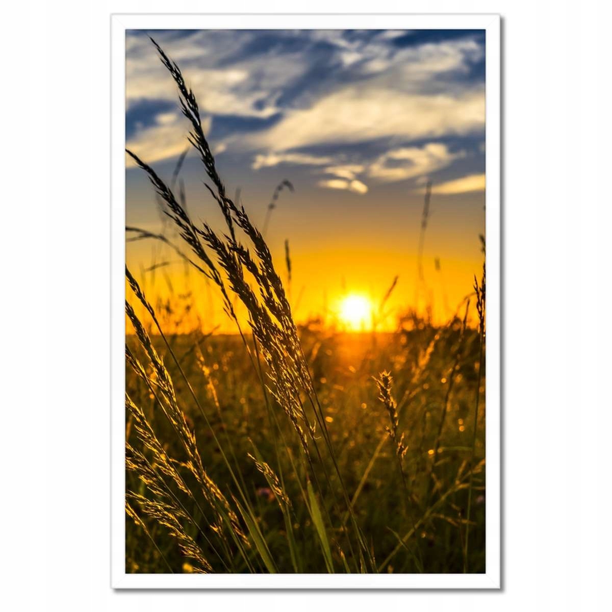 Plakáty v rámu 40x60 Západ slunce mezi trávou