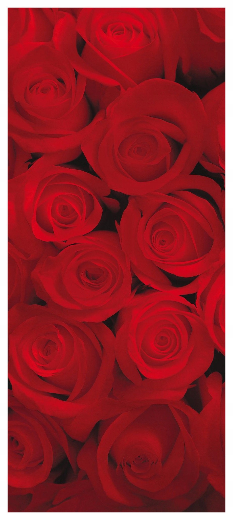 Samolepka Fototapeta Červené růže Klasika a elegance do ložnice 91x211