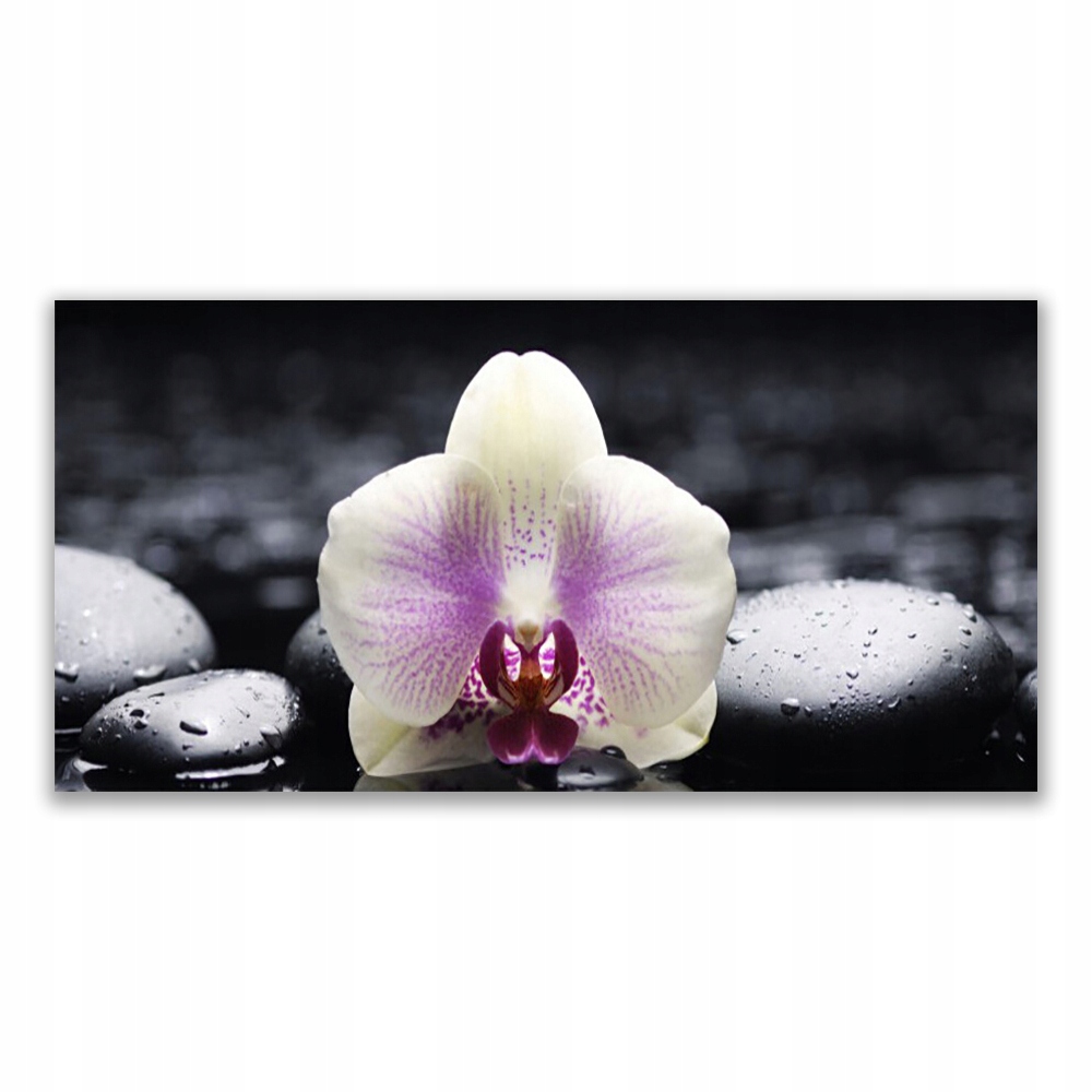 

Fotoobraz z grafiką 140x70 Kwiat Orchidea Roślina