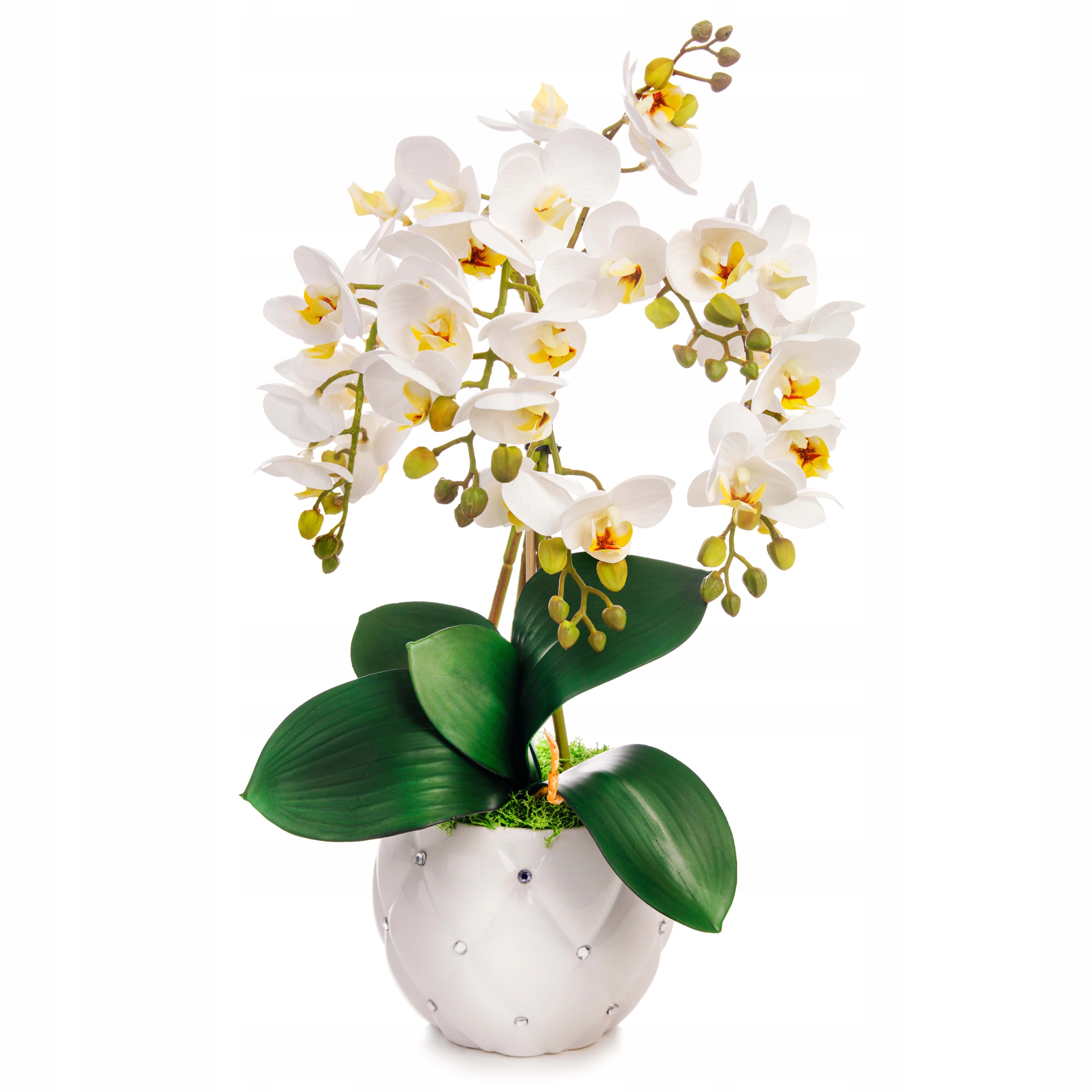 

Storczyk sztuczny Kryształki biała donica