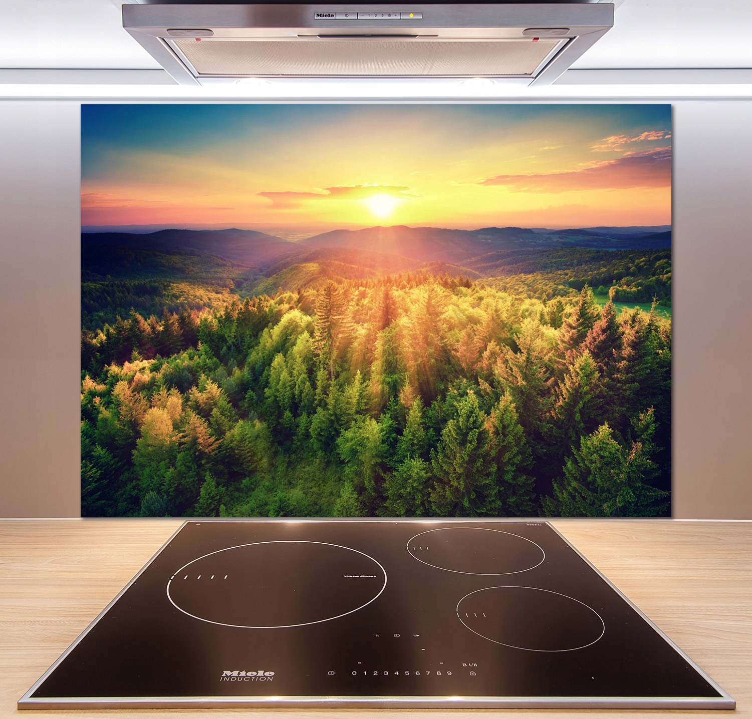 

Panel do kuchni Las zachód słońca 100x70 cm + Klej