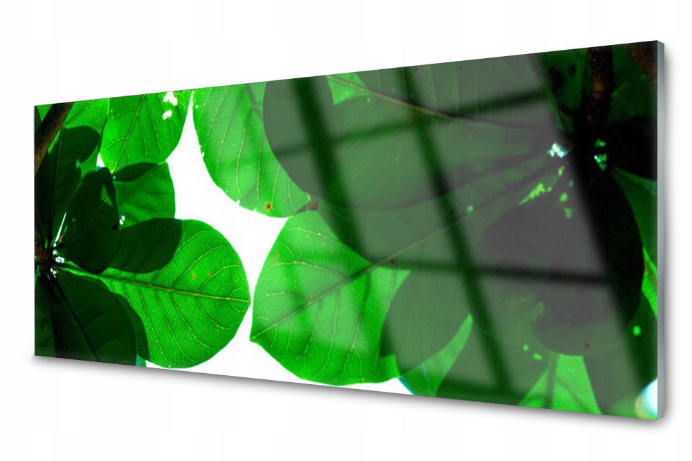 

Panel szklany do kuchni Liście 125x50