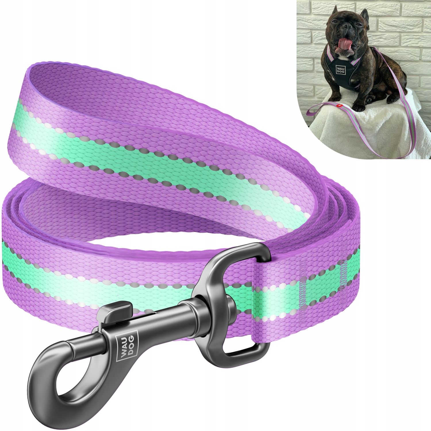 Vodítko pro psa akumulující světlo, reflexní, fialová, L, 122 cm, 25 mm