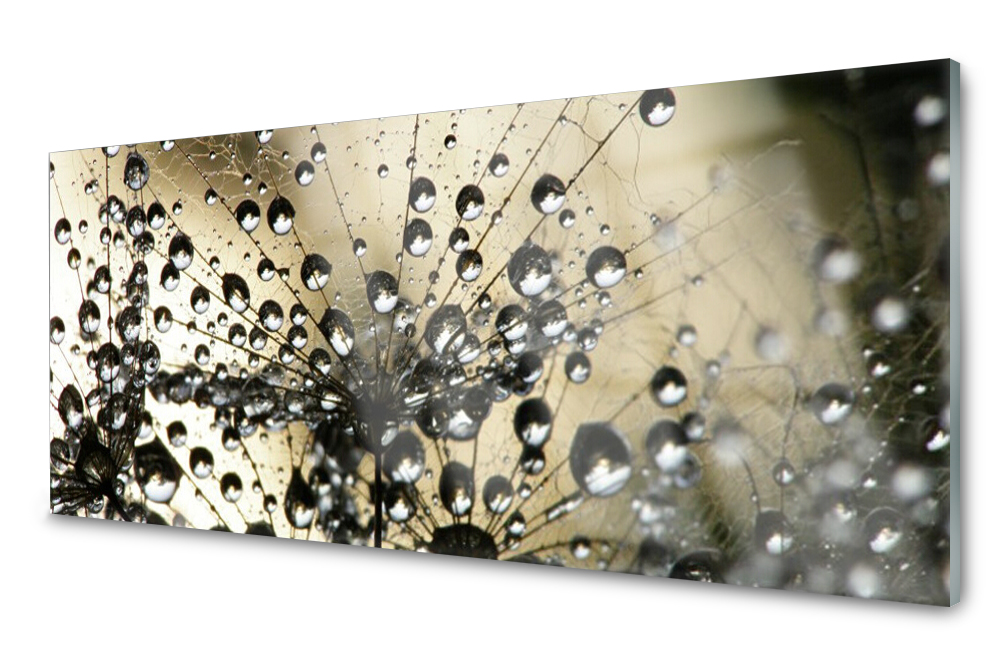 

Panel szklany do kuchni Mniszek Roślina 125x50