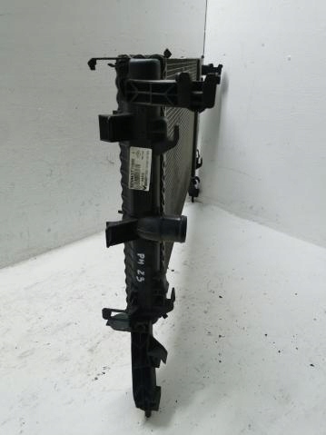 water cooler RENAULT LAGUNA III 2.0 DCI 07-14
