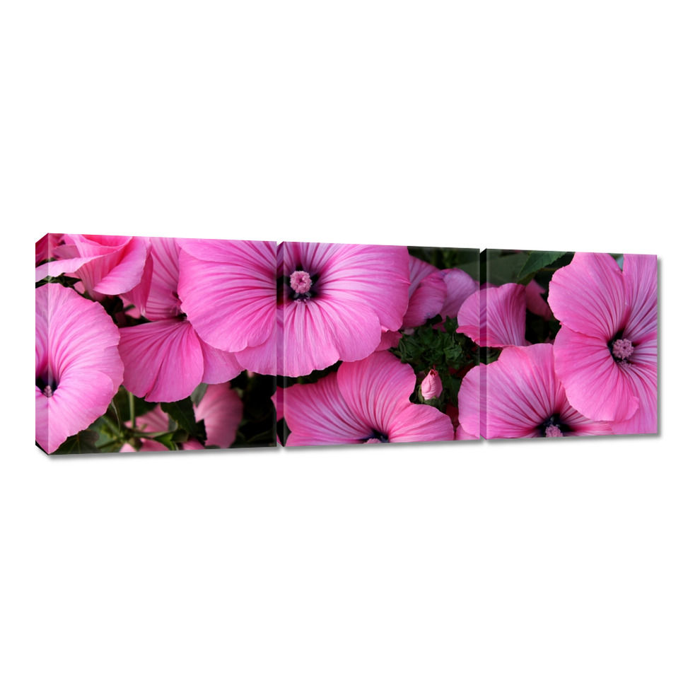 

Obrazy 60x20 Fioletowe kwiatki
