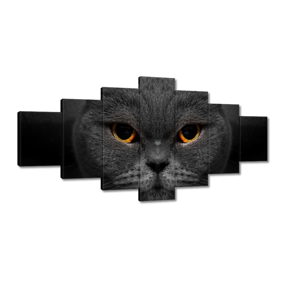 Obrazy 210x100 Vznešená kočka