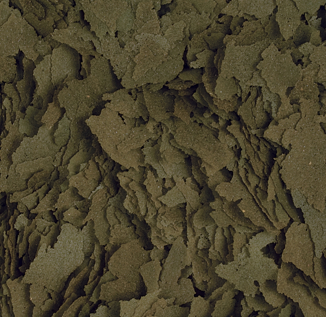 Levně Tropical Spirulina Vločky 5l