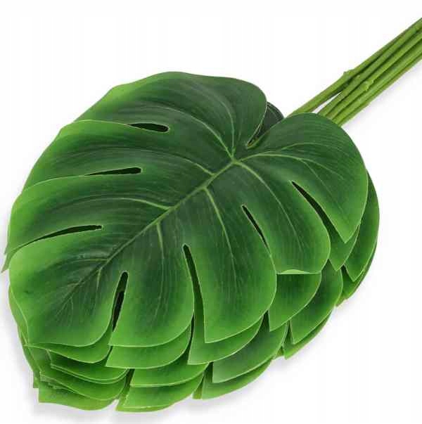 Liść Philo LIŚCIE filodendron MONSTERA latex green Kod producenta MyFlowers.pl