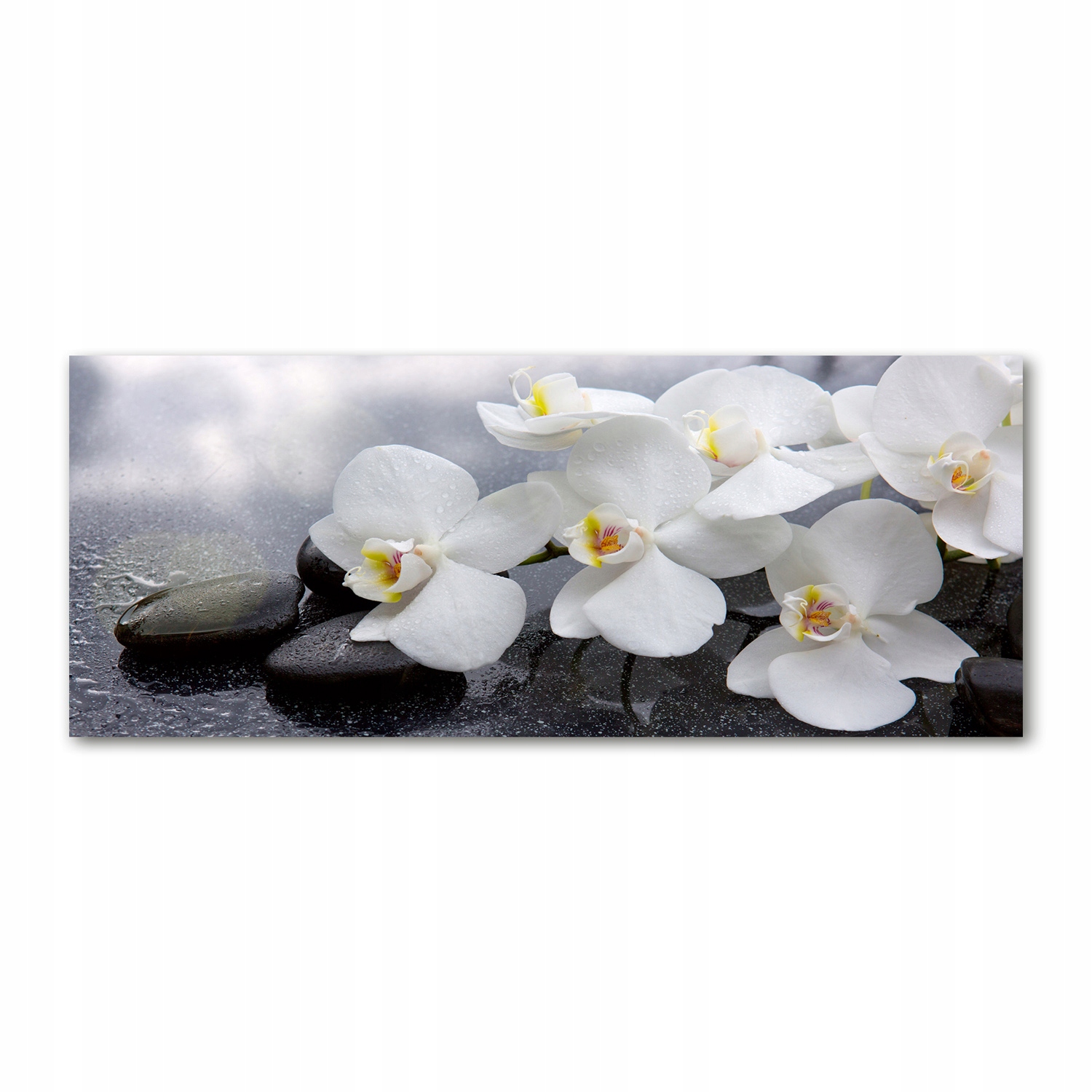 

Foto obraz duży akryl nowoczesny Orchidea 125x50cm