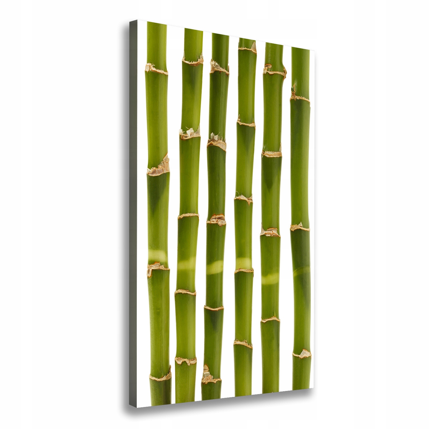 

Nowoczesny fotoobraz canvas na ramie Bambus 50x100