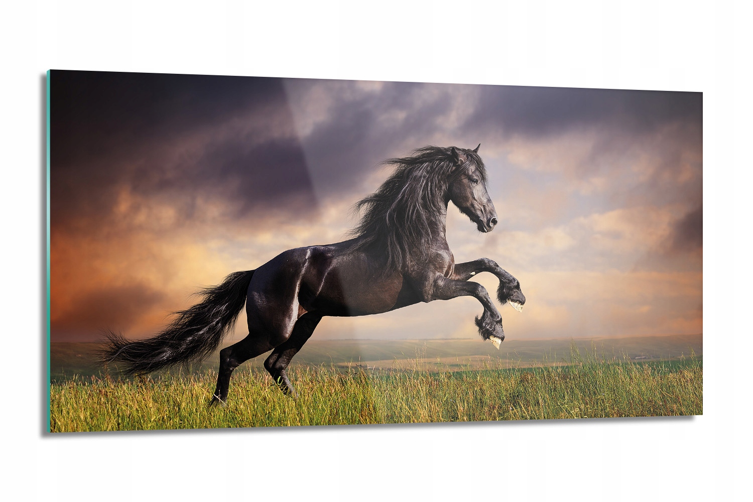kuchynský panel Čierny kôň západ 100x50 s fotografiou