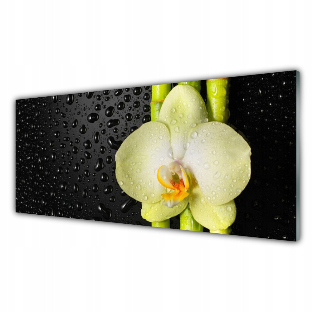 

Obraz akryl wiszący 125x50 Bambus Kwiaty Orchidea