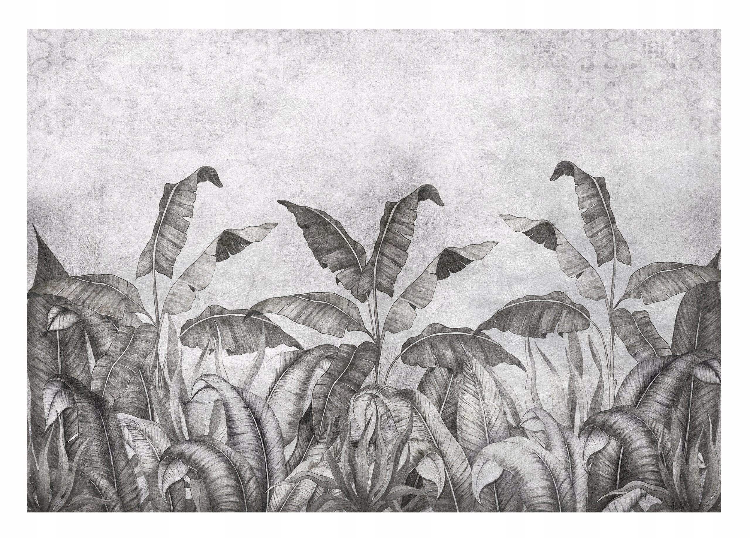 Fototapeta Banánové Listy Beton Vintage 312x219