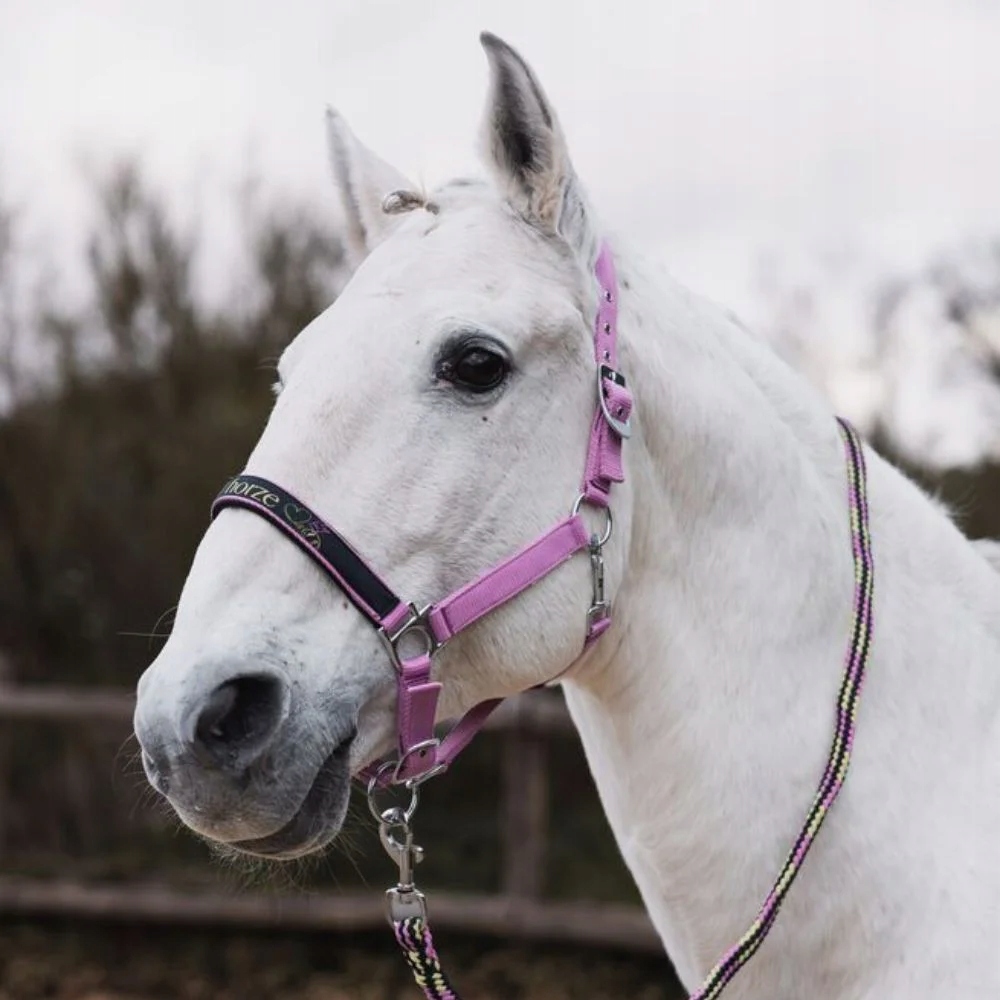 Sada Uzda pro koně a vodítko Horze Graffiti 25SS růžová Pony