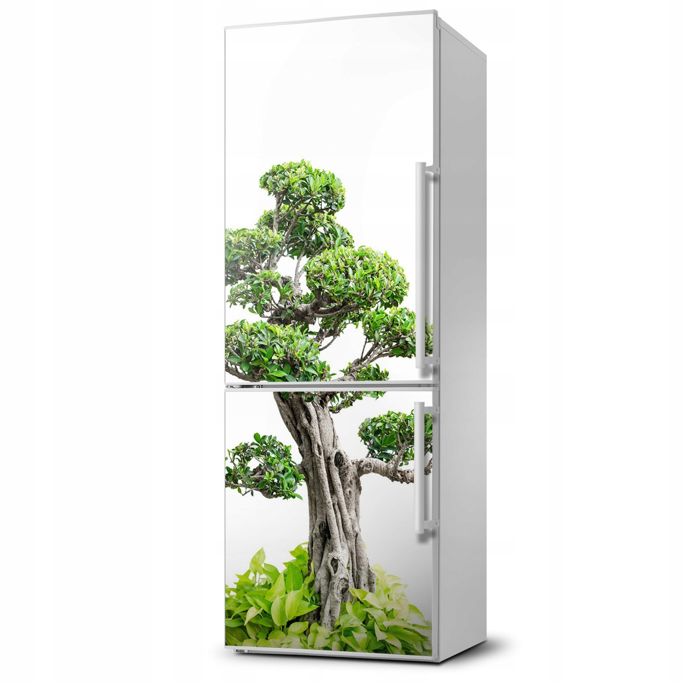 

Naklejka Magnes Magnes Drzewo bonsai 60x180