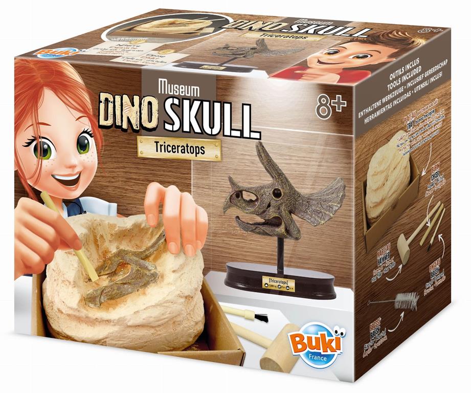 

Wykopaliska Czaszka Triceratopsa Buki France 8+