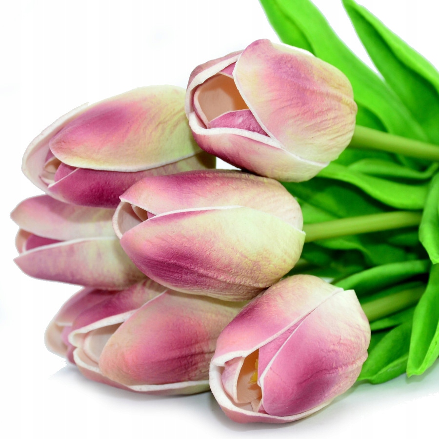 

Tulipany Bukiet Tulipanów Gumowane Gumowe Jak Żywe