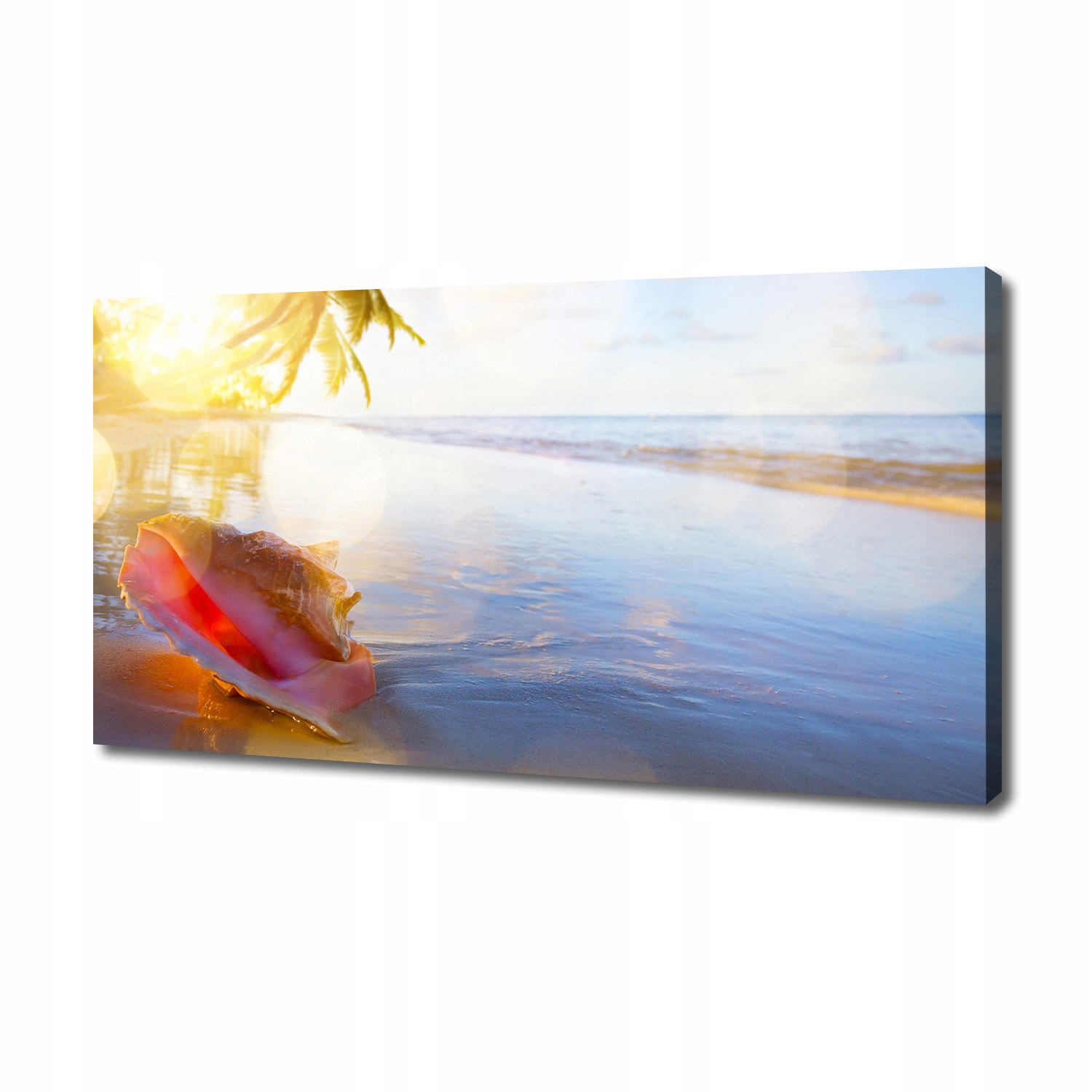 

Foto obraz na płótnie Muszla na plaży 140x70 cm