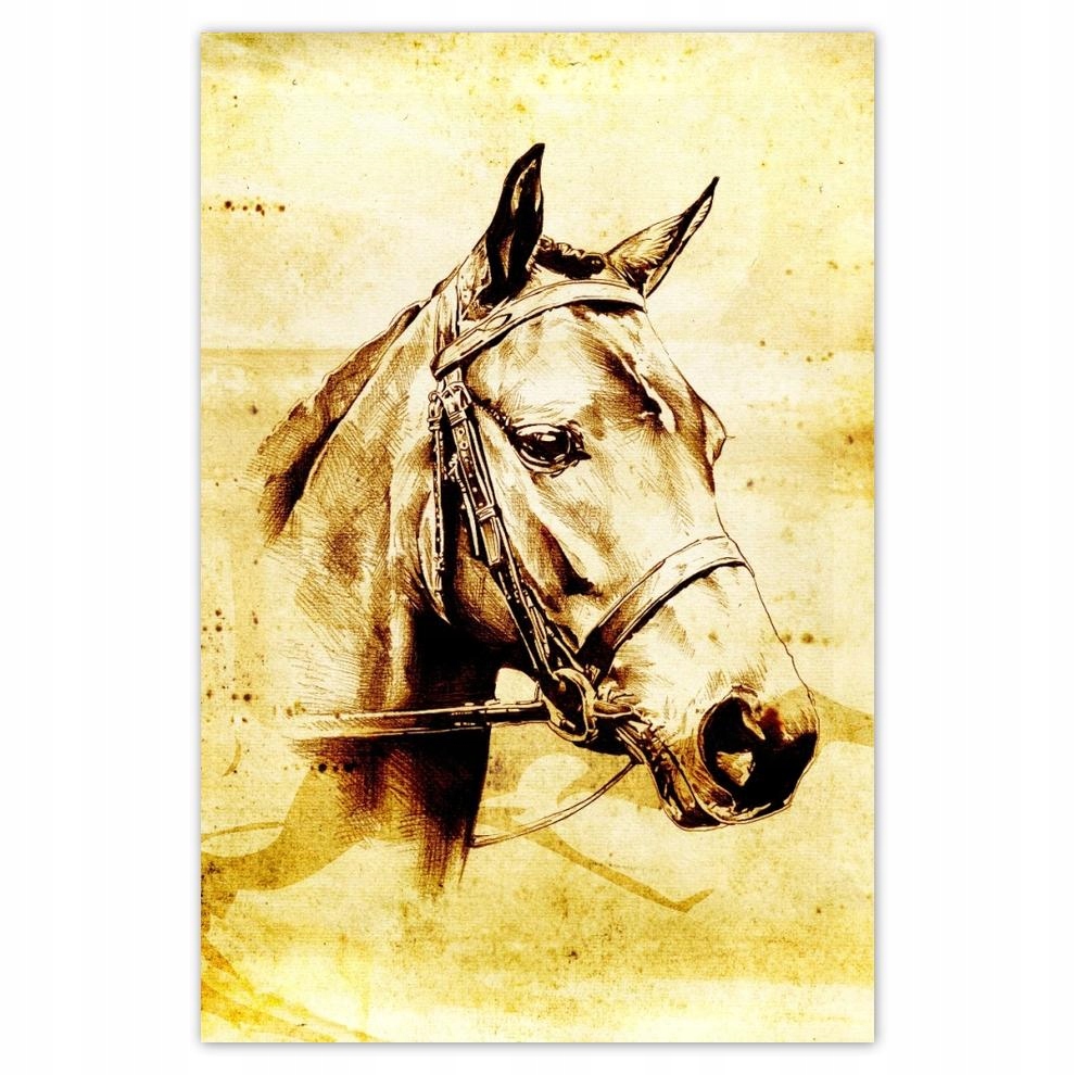 

Plakat 62x93 Głowa konia