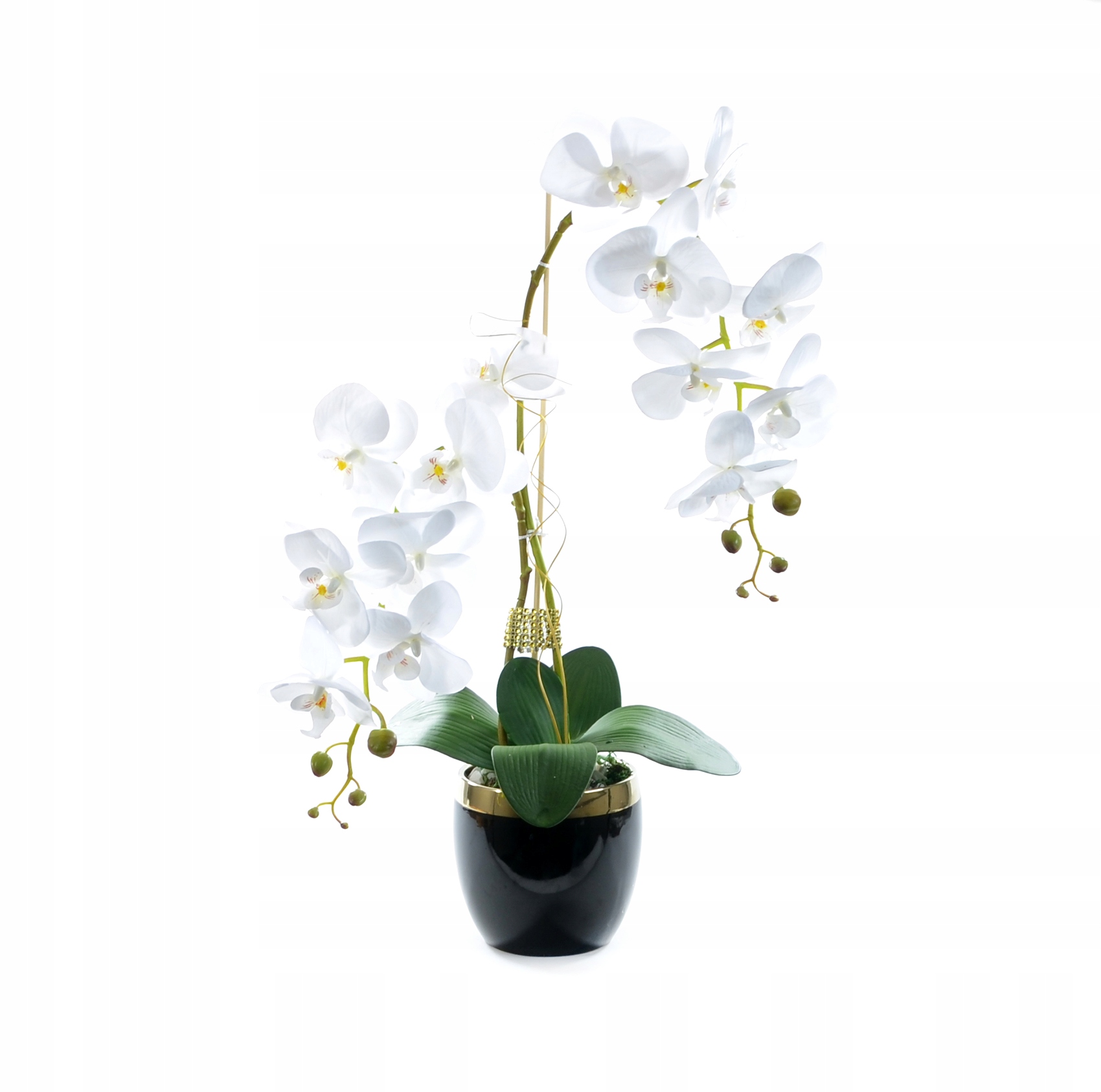 

Storczyk sztuczny Storczyki Czarno Złota Tonica