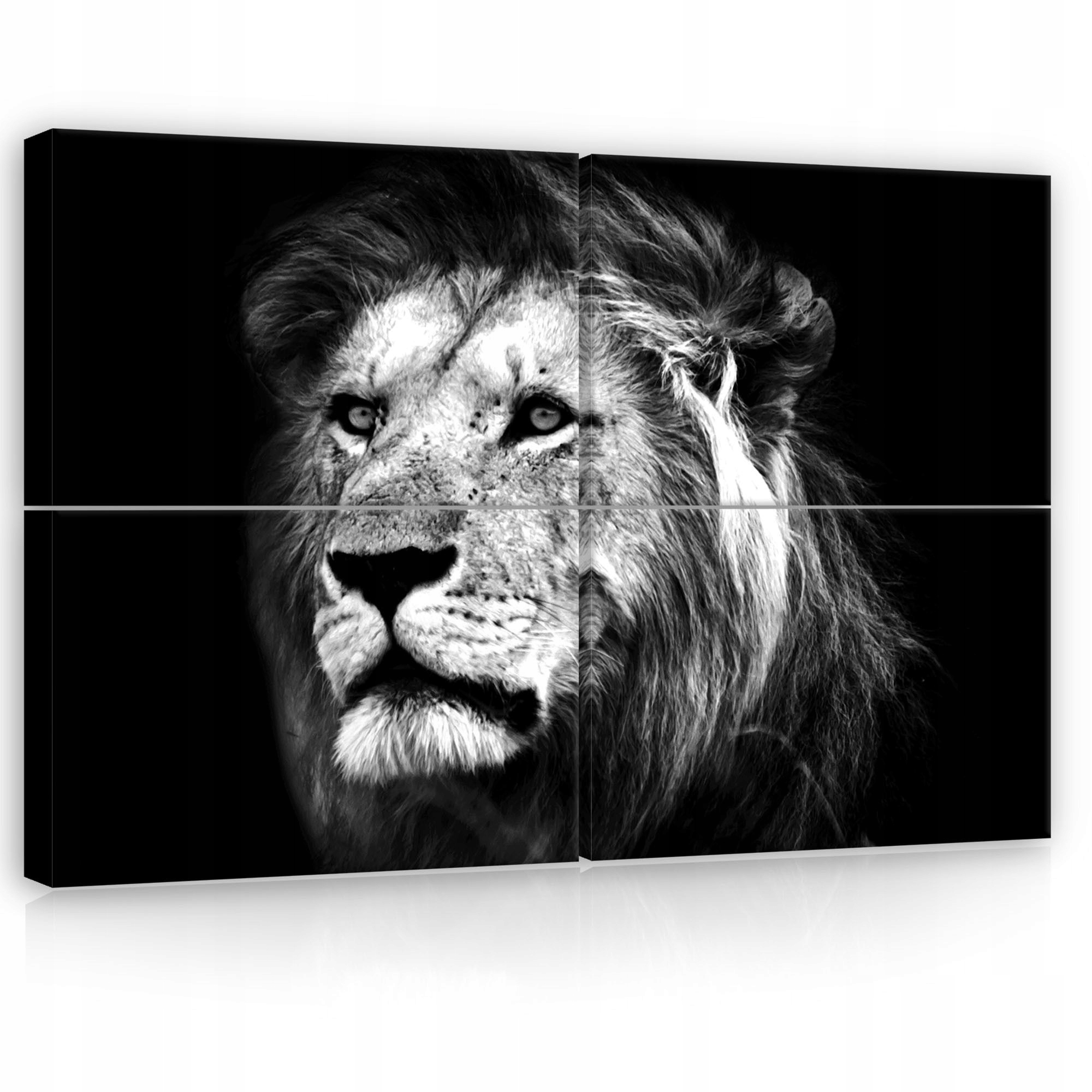 Obraz 120x80 Lev kráľ zvierat sila majestátny pohľad čiernobiely