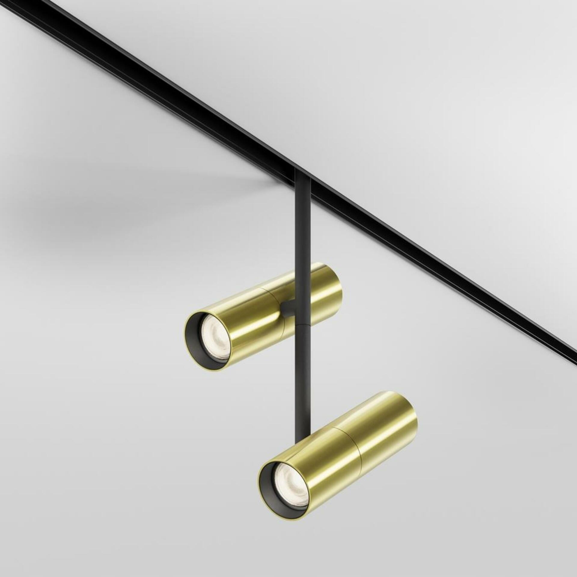 Maytoni Svietidlo do koľajnice Elti Duo Exility 3000K 24W 36d TR005-2-2X12W3