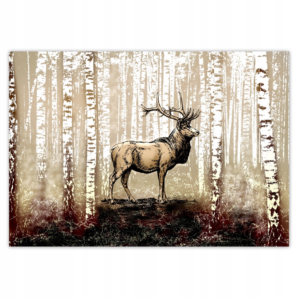 

Fototapety flizelina 416x290 Jeleń Brzoza Las