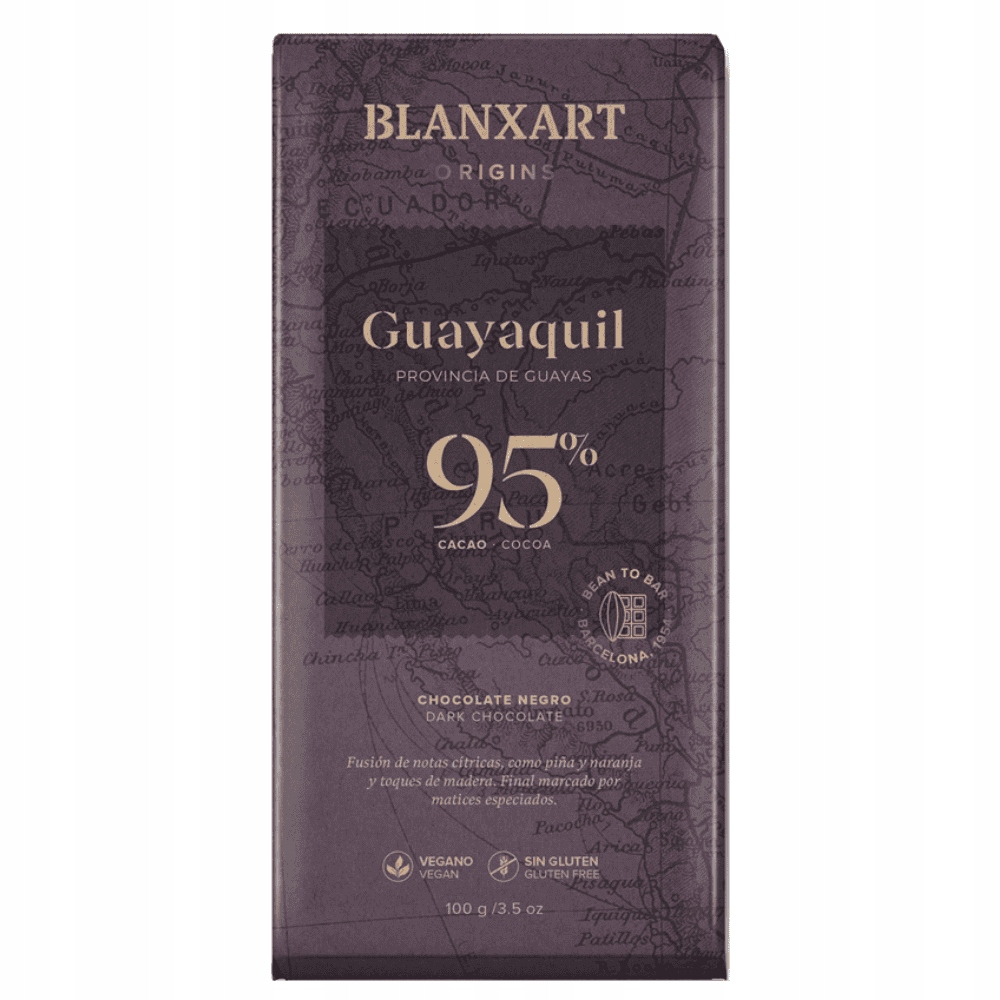 Levně 2x Blanxart Hořká Čokoláda 95% s kakaem Trinitario 100 g Ekvádor