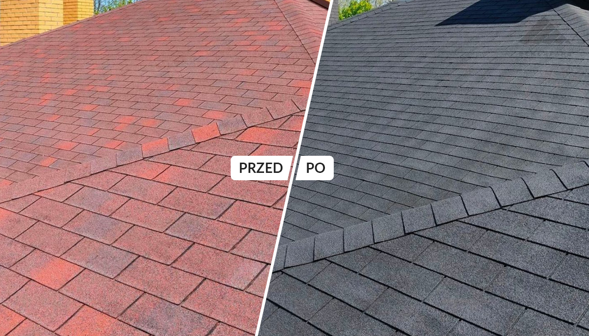 Farba na Dach Podkładowa do Dachu z Gontu, Papy 10L Zielona Trawa Rodzaj farba