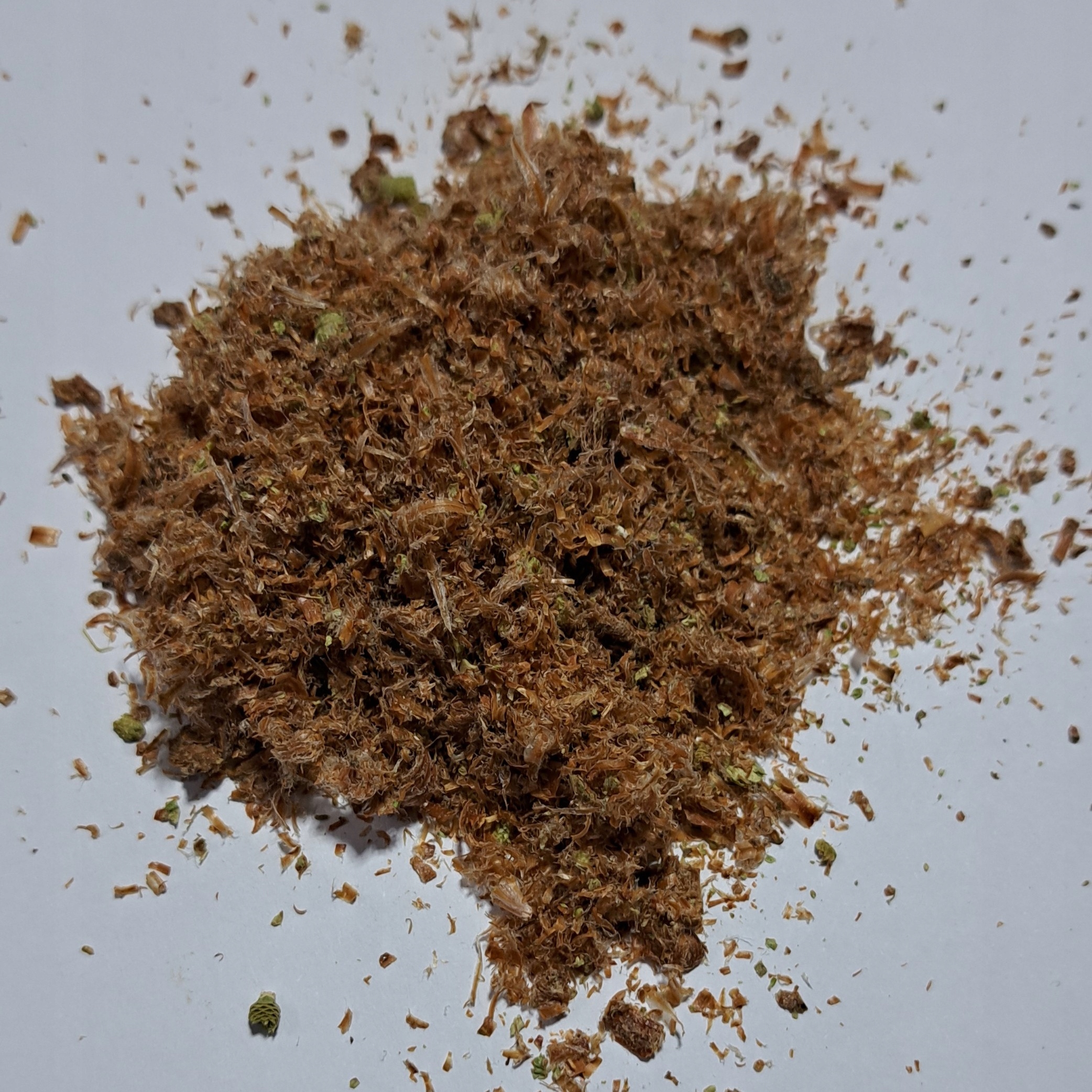 Levně borovice výhonky 1 kg Rafex