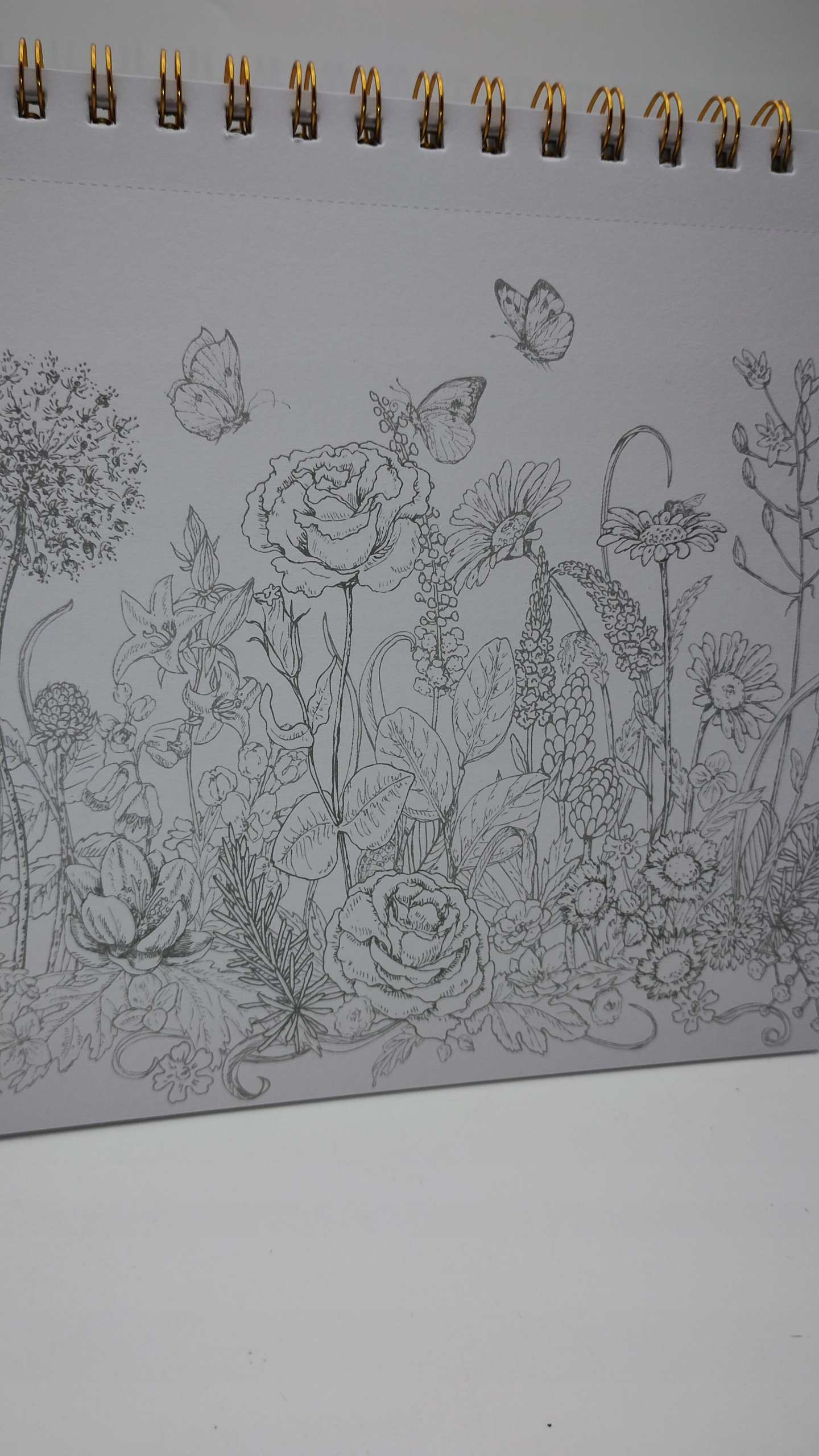 KOLOROWANKA SZKIC DECO TIME 24 ARKUSZE kwiaty 158 Marka DecoTime