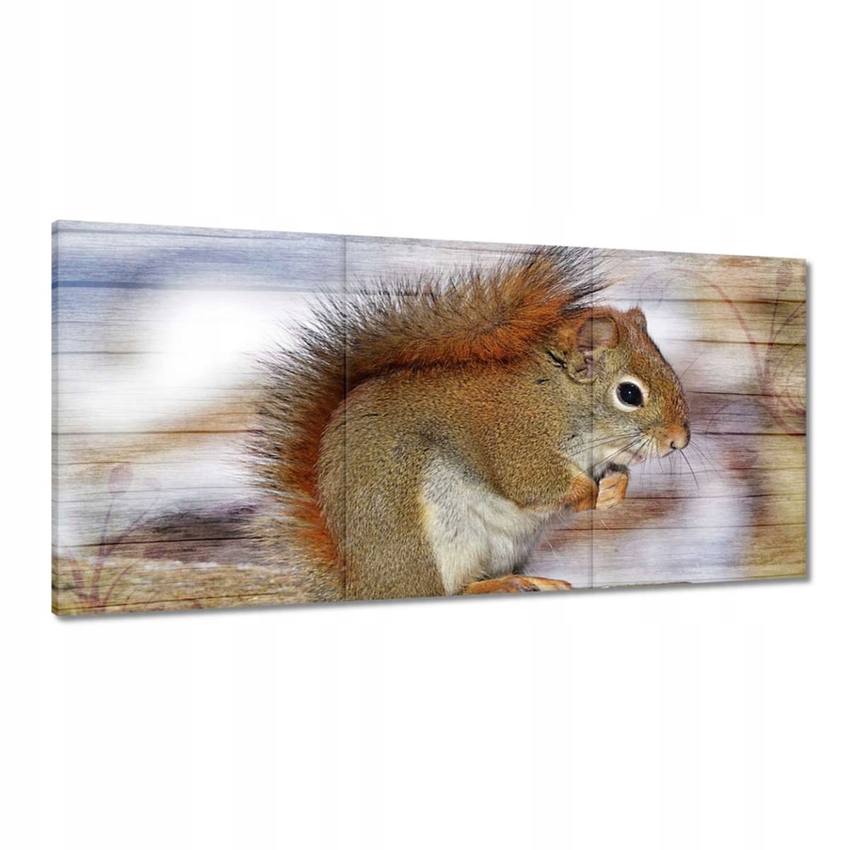 Obrazy 180x90 Veverička