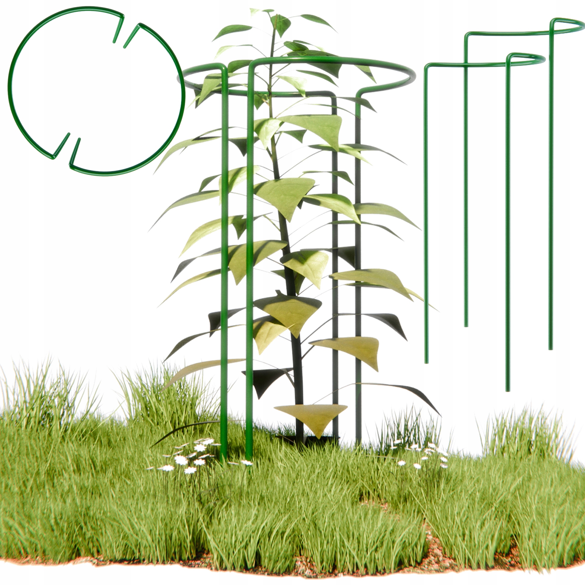 2X PODPORA DO ROŚLIN PODPORY DO KWIATÓW OGRODOWYCH METALOWA 70x35cm 2SZT