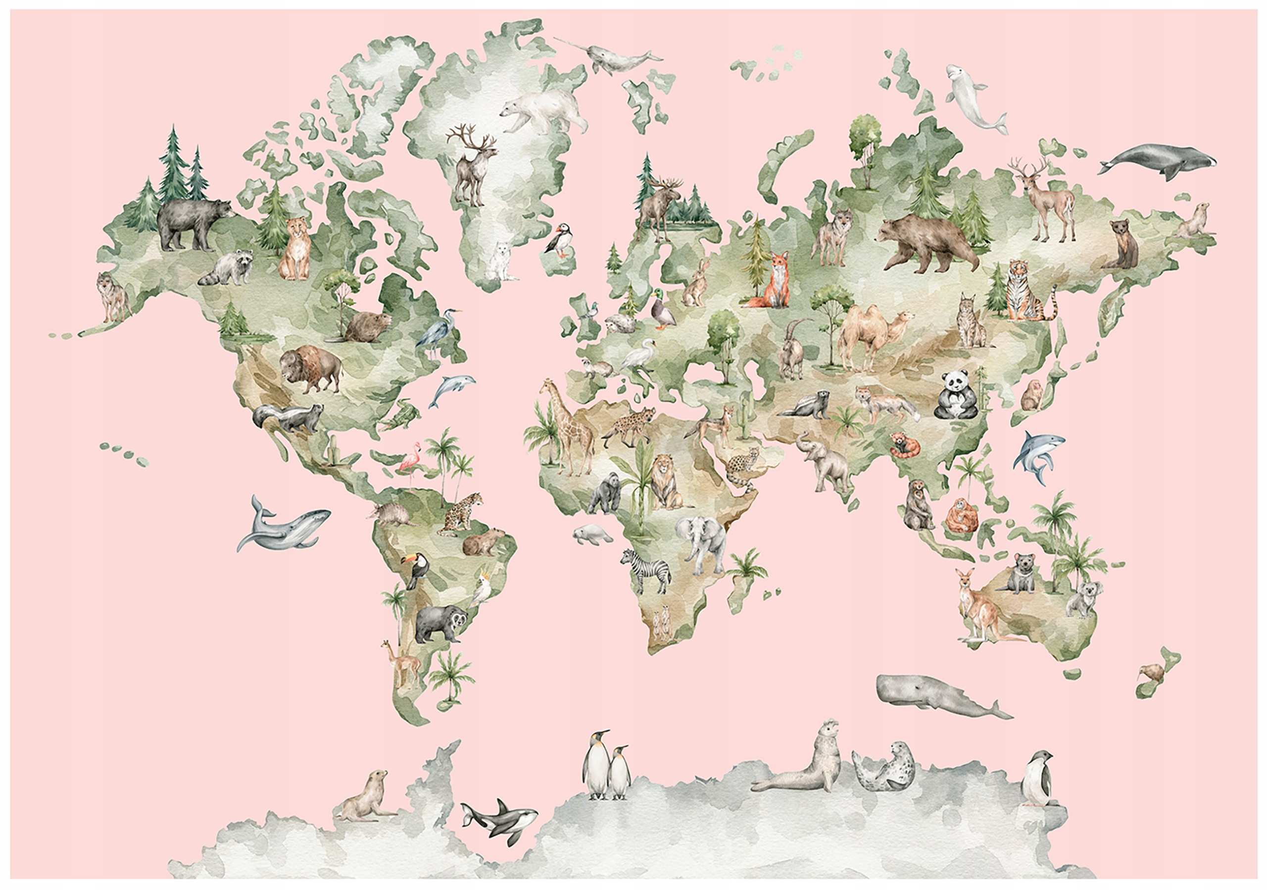 Vinylová Fototapeta Na Flizelině Pro Děti Mapa Světa Růžová 416x254