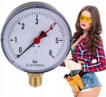 

Manometr 0-6 bar Tarcz FI100mm Złącze Dolny Afriso