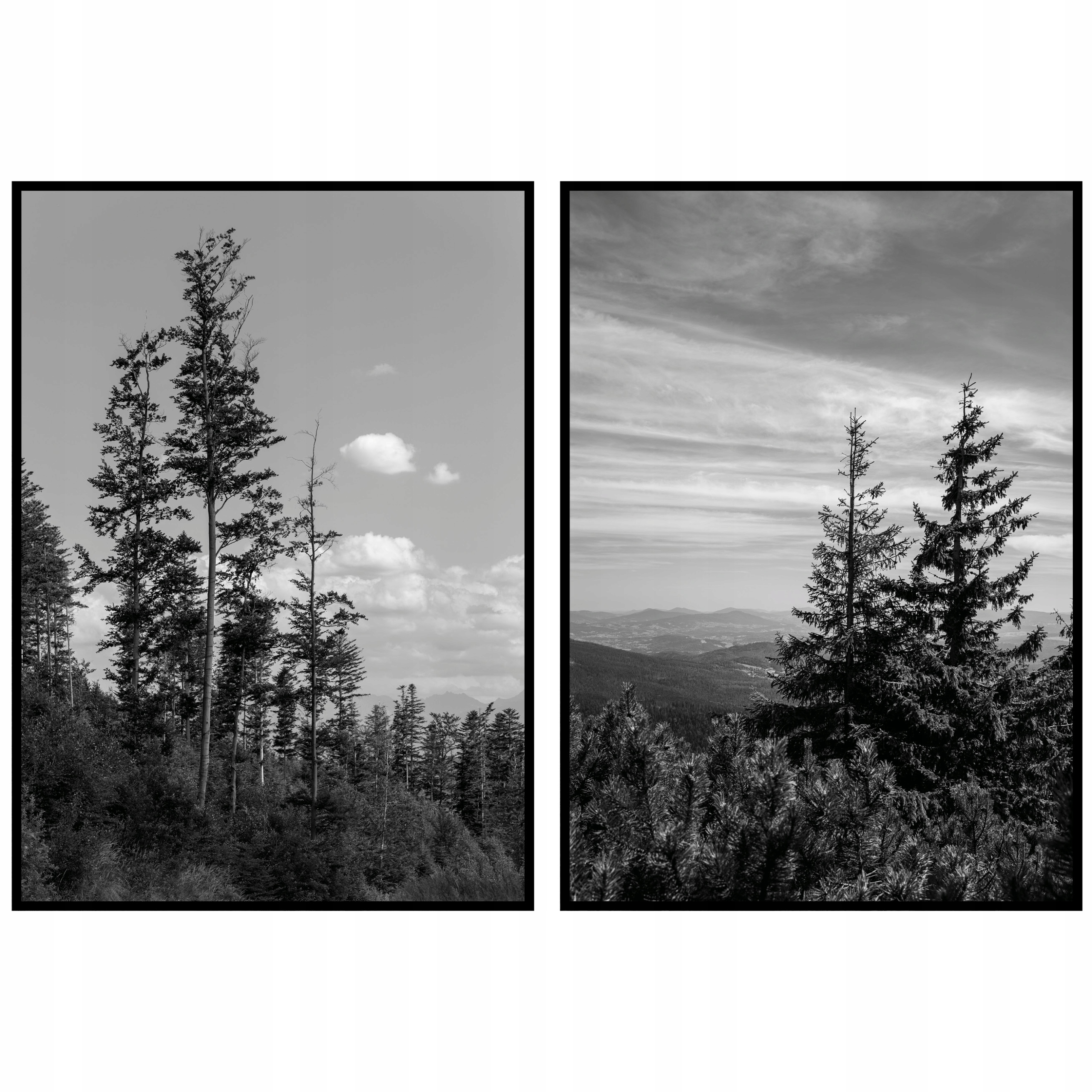 Plagáty diptych les stromy krajina čiernobiele plagáty na stenu 70x100 cm