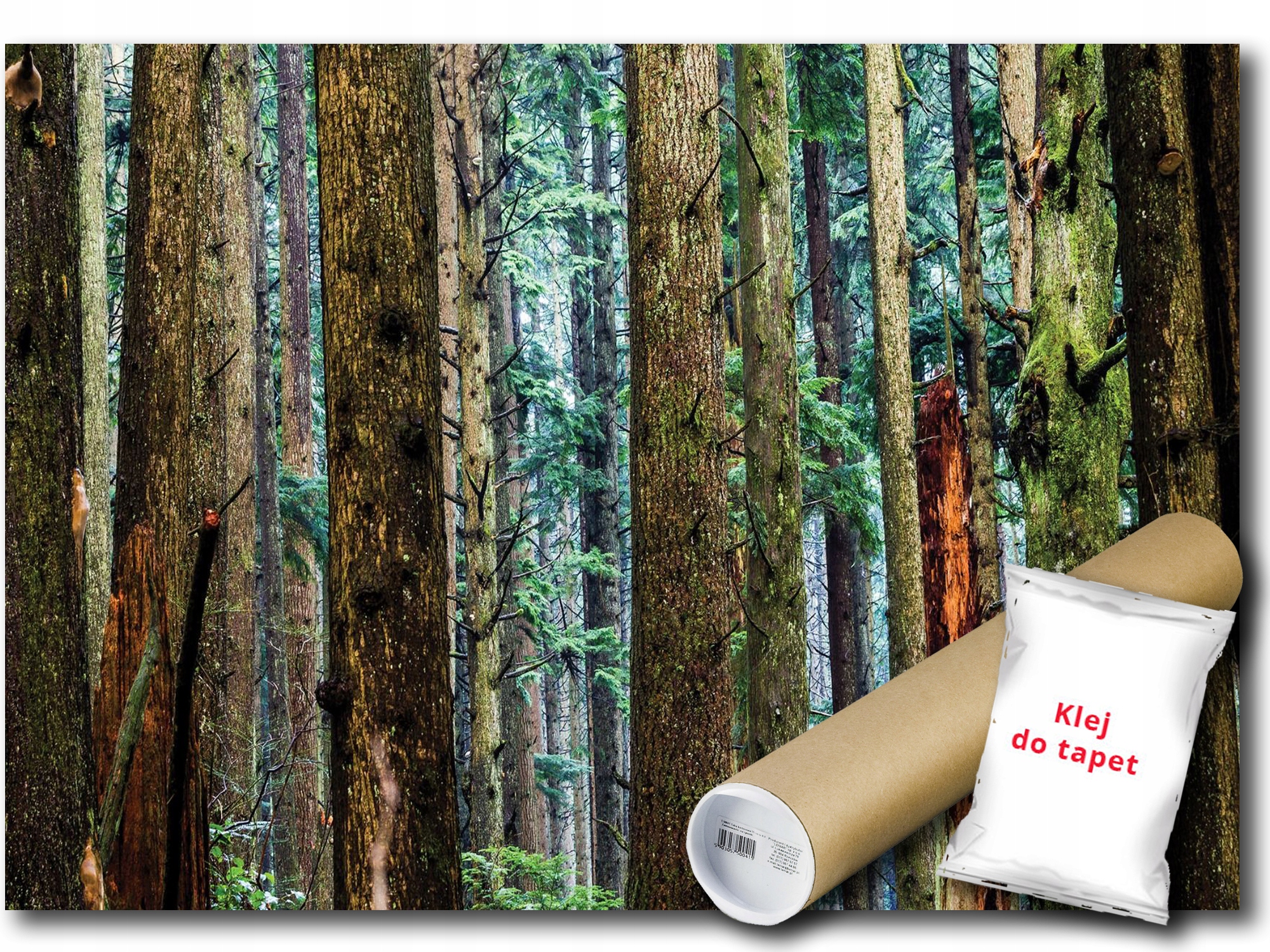 Vinylová Fototapeta Les Stromy Príroda Zelená Pohľad 208x146